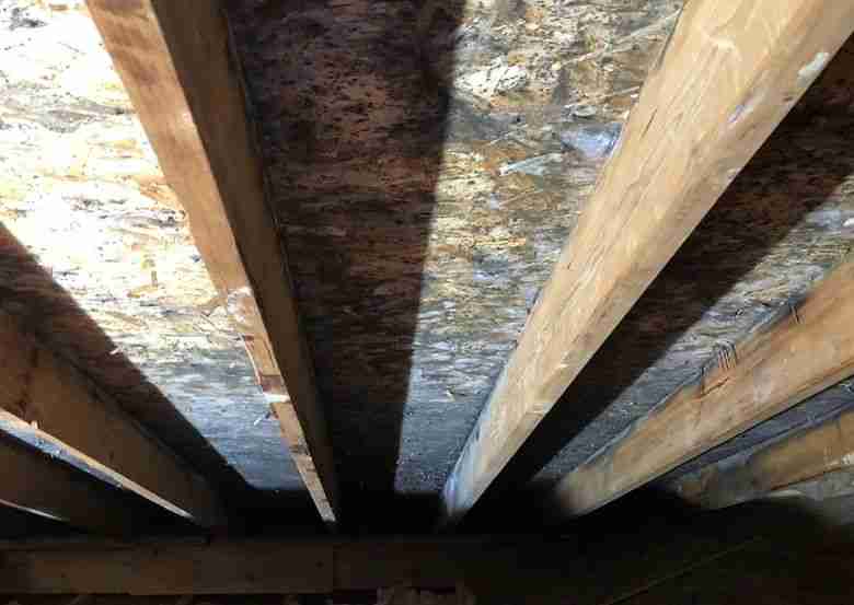 An attic ceiling in Houston with visible dark mold growth across wooden beams and panels. This image highlights the need for hidden attic mold removal near me in Houston to protect the structure and improve air quality.