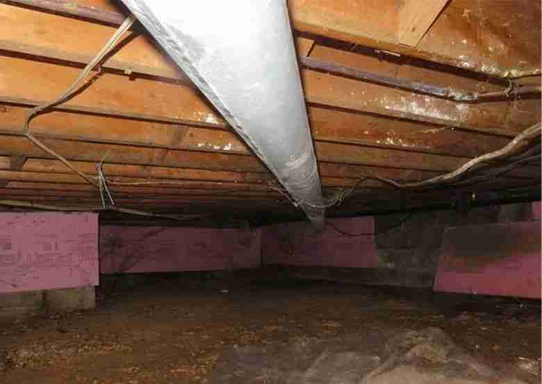 A crawl space in Houston with wooden beams showing white mold growth and moisture damage. This highlights the need for hidden crawl space mold removal near me in Houston to protect the home’s foundation and indoor air quality.