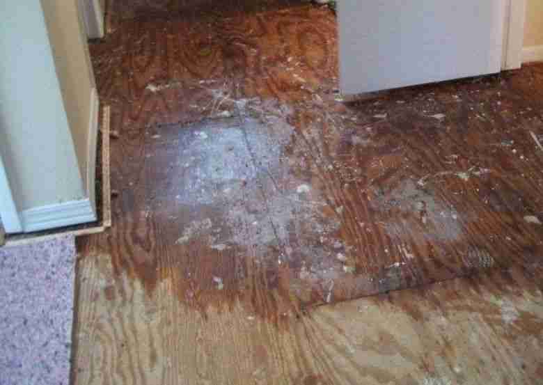 Mold inspection services by Anderson Restoration. The image shows a mold-infested room with visible mold on the walls and wooden floor. An overlay highlights four key mold detection methods: Visual Inspection (checking common hotspots), Moisture Testing (using specialized meters), Infrared Scans (identifying hidden leaks), and Air Sampling (measuring indoor spore levels). Blue and orange icons accompany each method.