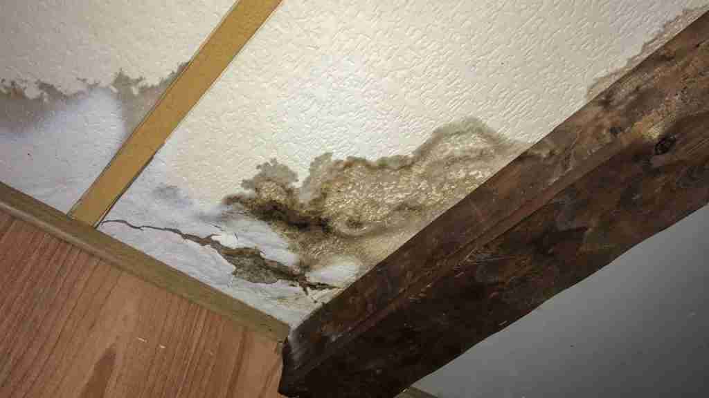 Interior ceiling damage showing active water intrusion