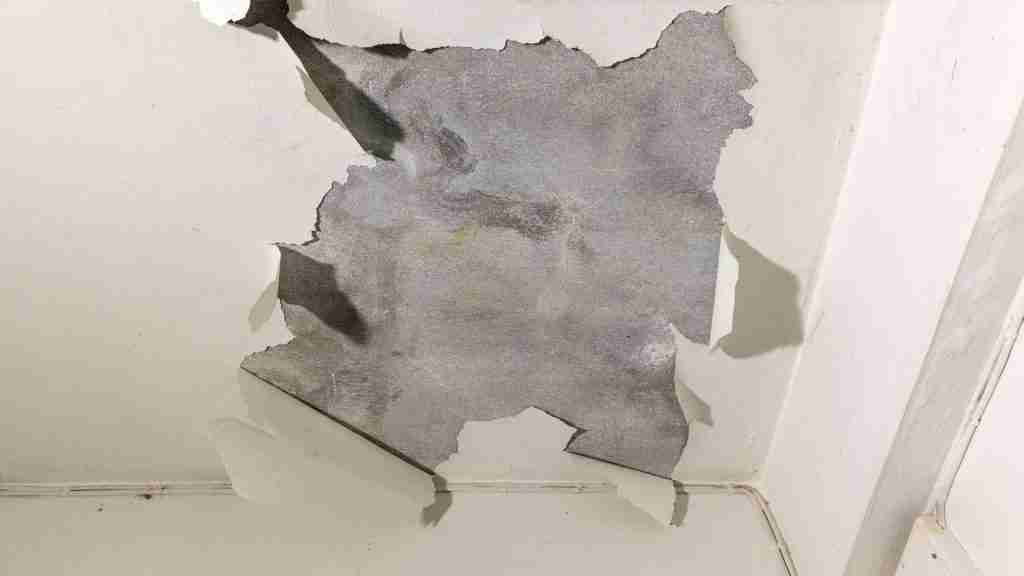 Interior ceiling showing a circular water stain near a bathroom vent