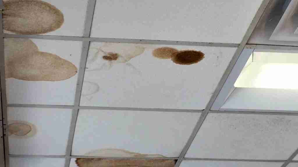 Interior of a commercial office space showing ceiling tile displacement and water staining from an active roof leak
