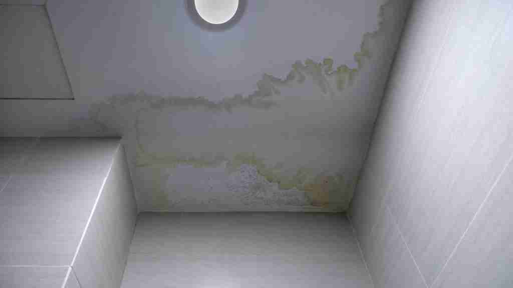 Water stain spreading across a residential