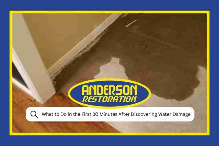 What to Do in the First 30 Minutes After Discovering Water Damage