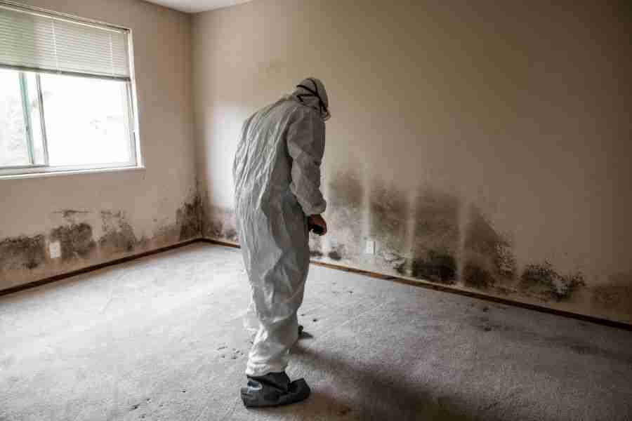 Technician performing mold inspection in a Houston home