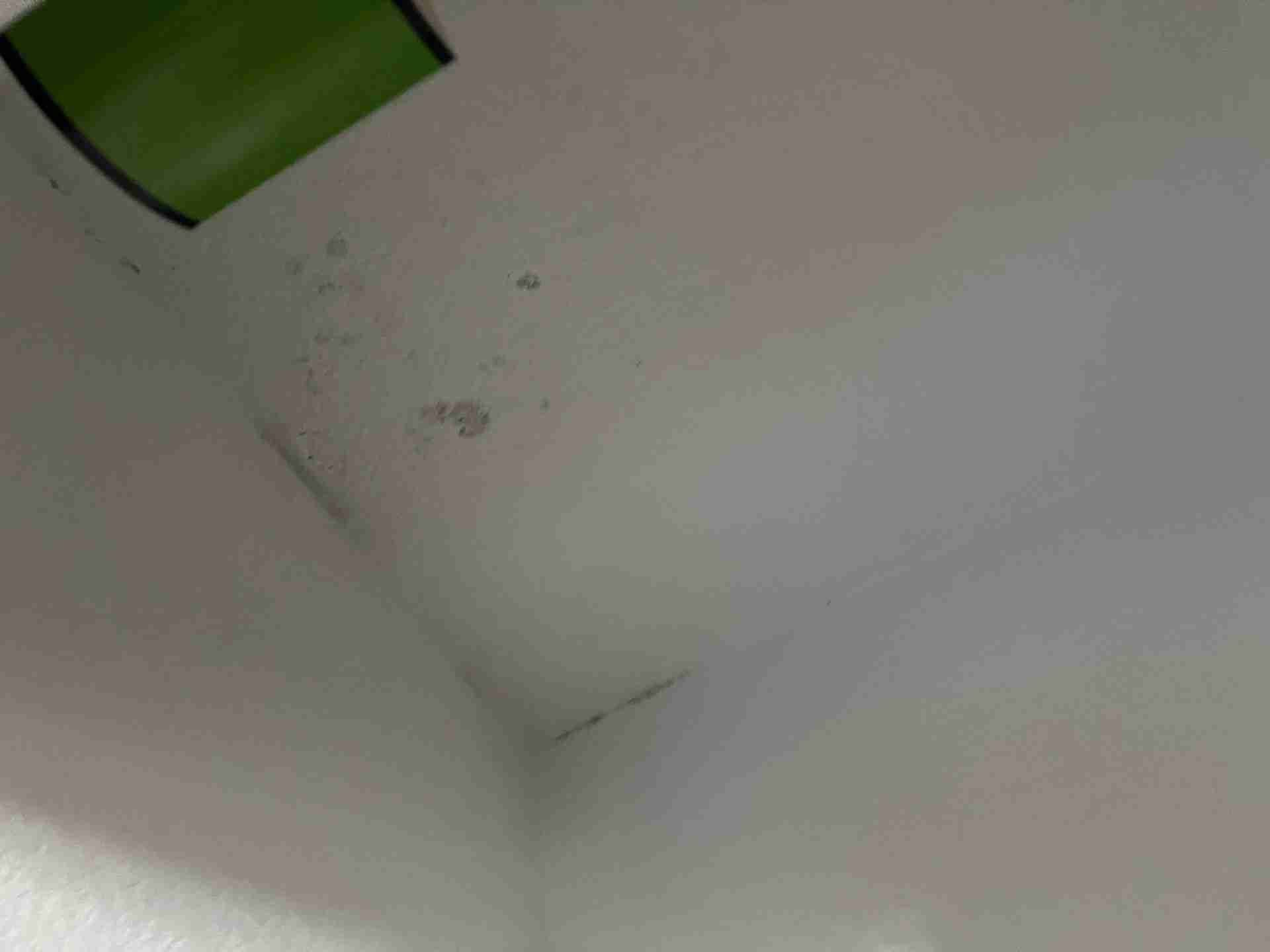 Black mold spots visible in ceiling corner of Angleton home during initial inspection