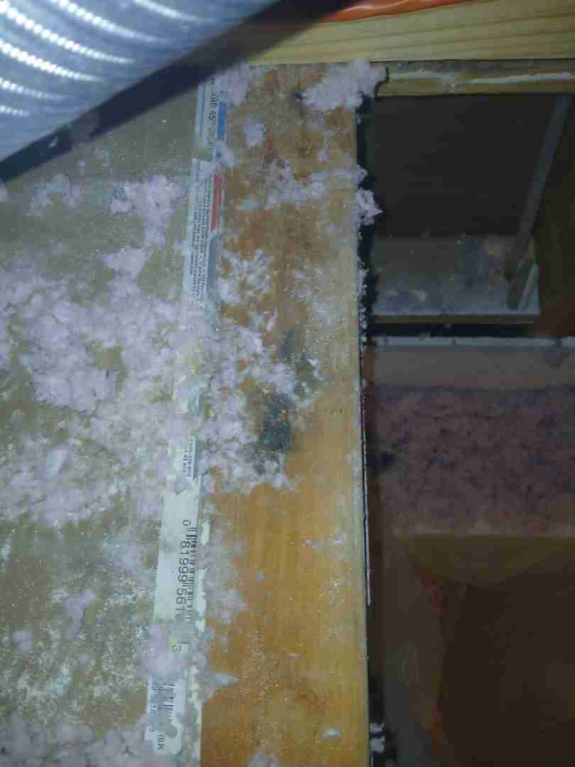 Mold contamination on wood joist and pink fiberglass insulation exposed during demo