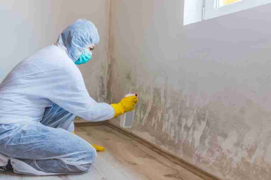 Technician in white protective suit and yellow gloves treating a wall with extensive black mold near the floor.
