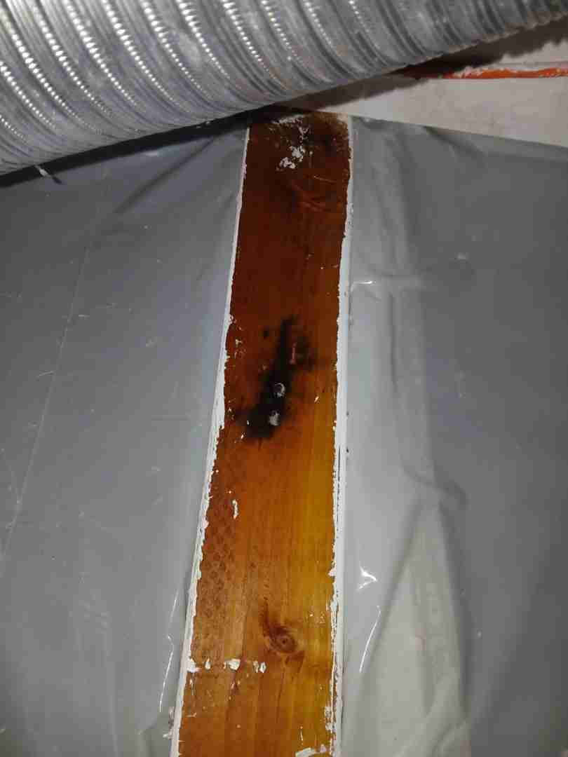 Close-up of black mold staining on exposed wood plank behind drywall
