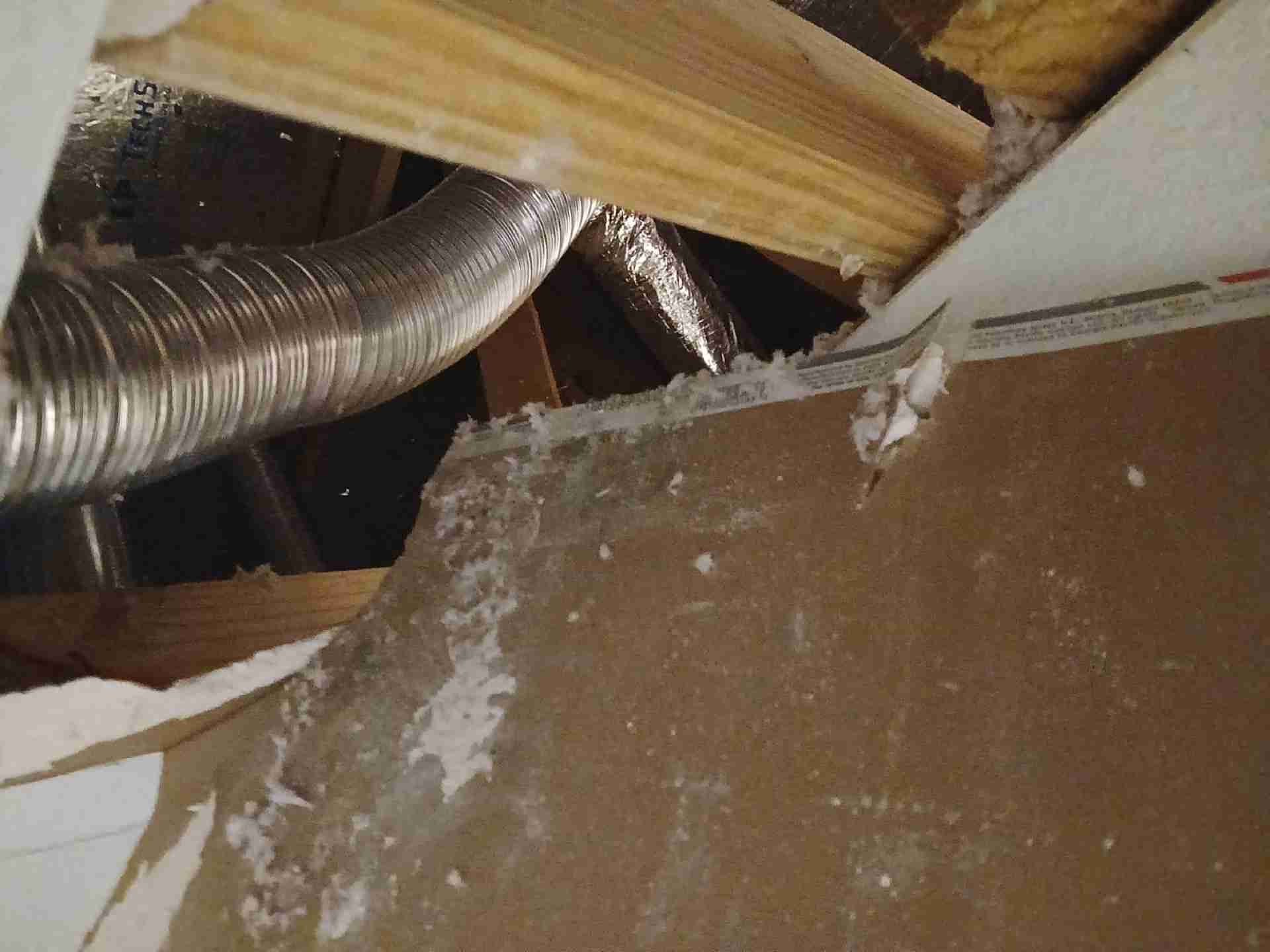 Flexible HVAC ductwork running through attic wood framing above mold-affected areas