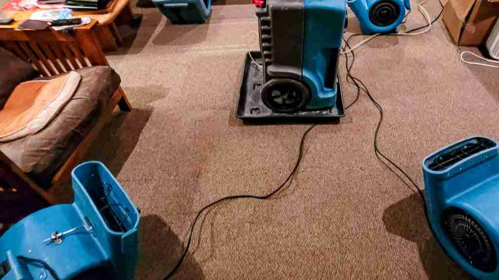 Array of commercial air movers positioned across a residential kitchen floor with drying equipment visible in adjacent hallway