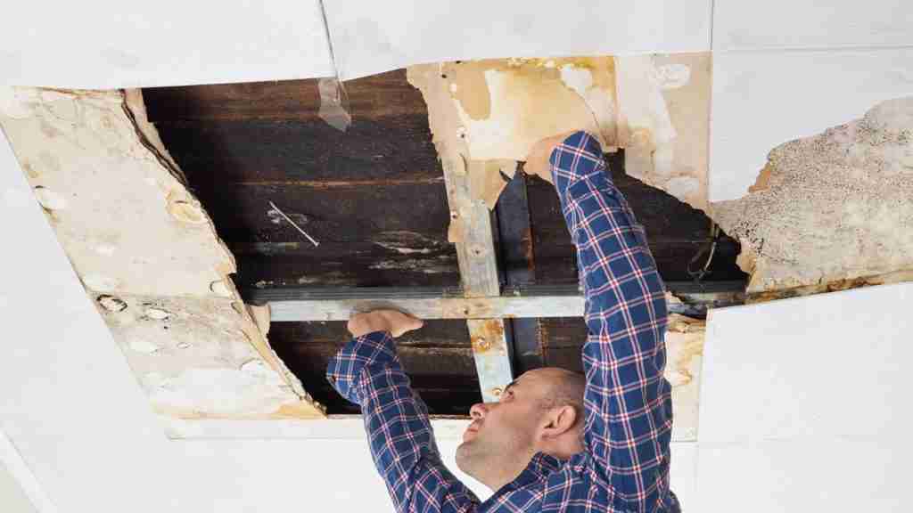 Ceiling Leaks