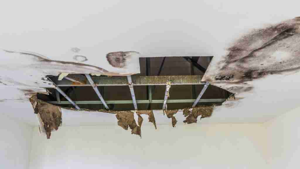 Open ceiling cavity in a Houston home showing drying equipment positioned to address wet insulation and framing above the drywall line