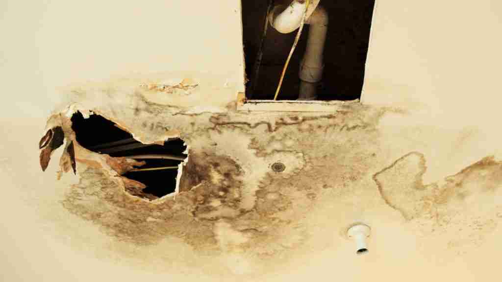 Residential ceiling showing a large circular water stain with slight sagging and paint bubbling near a light fixture