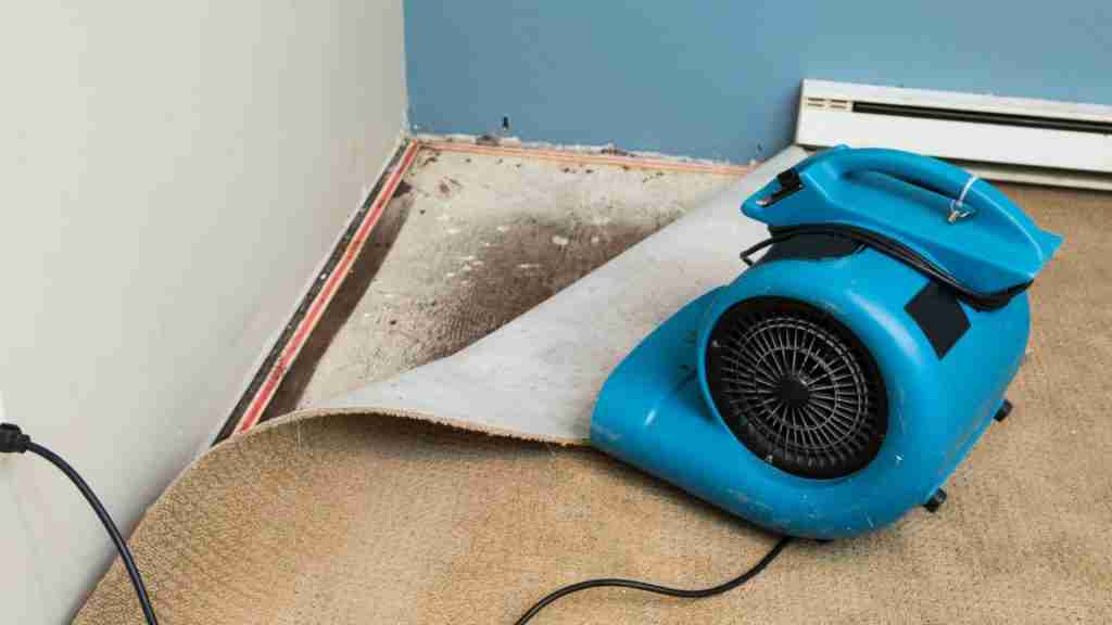 Why Pipe Damage Gets Worse by the Hour