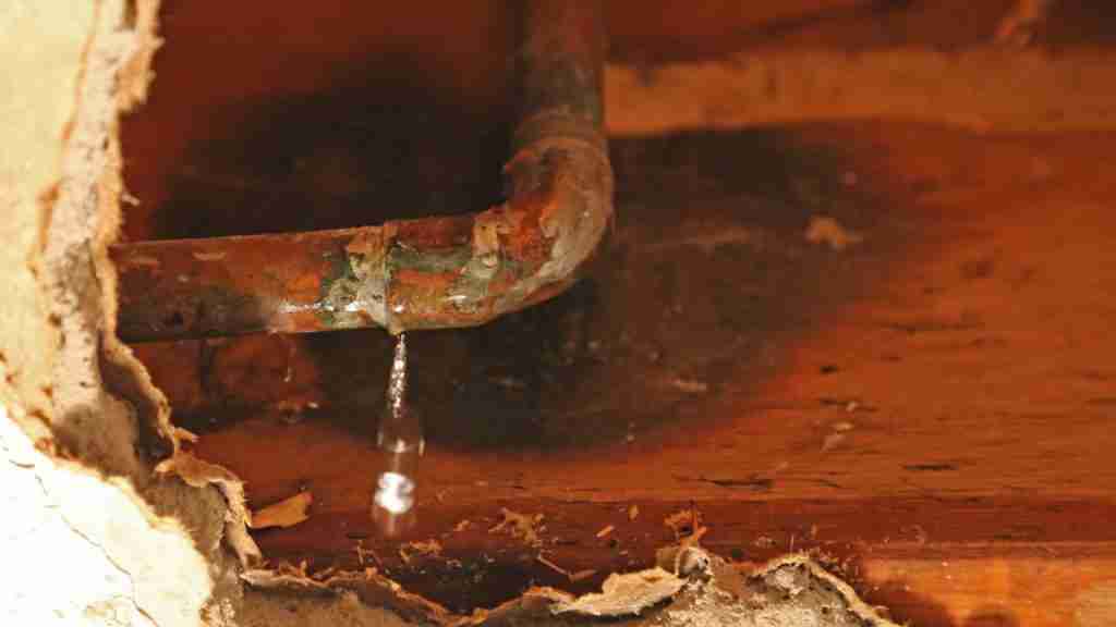 Sewage Exposure