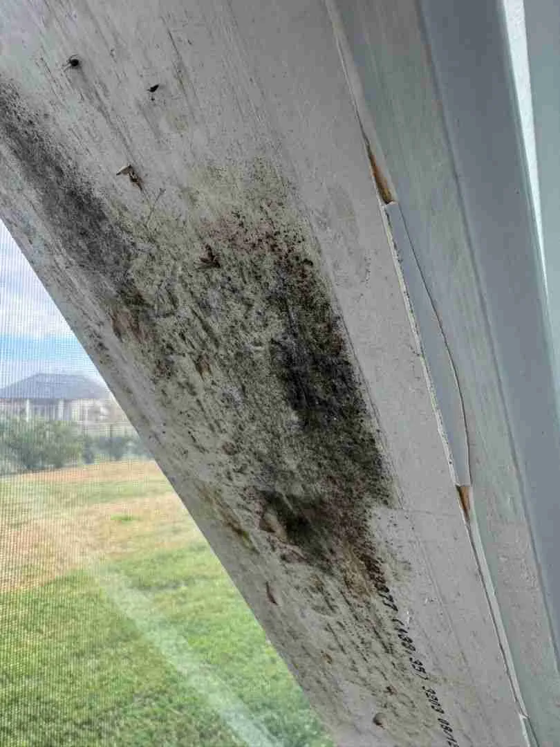 Black mold growth along the window jamb of a Houston residential home before remediation