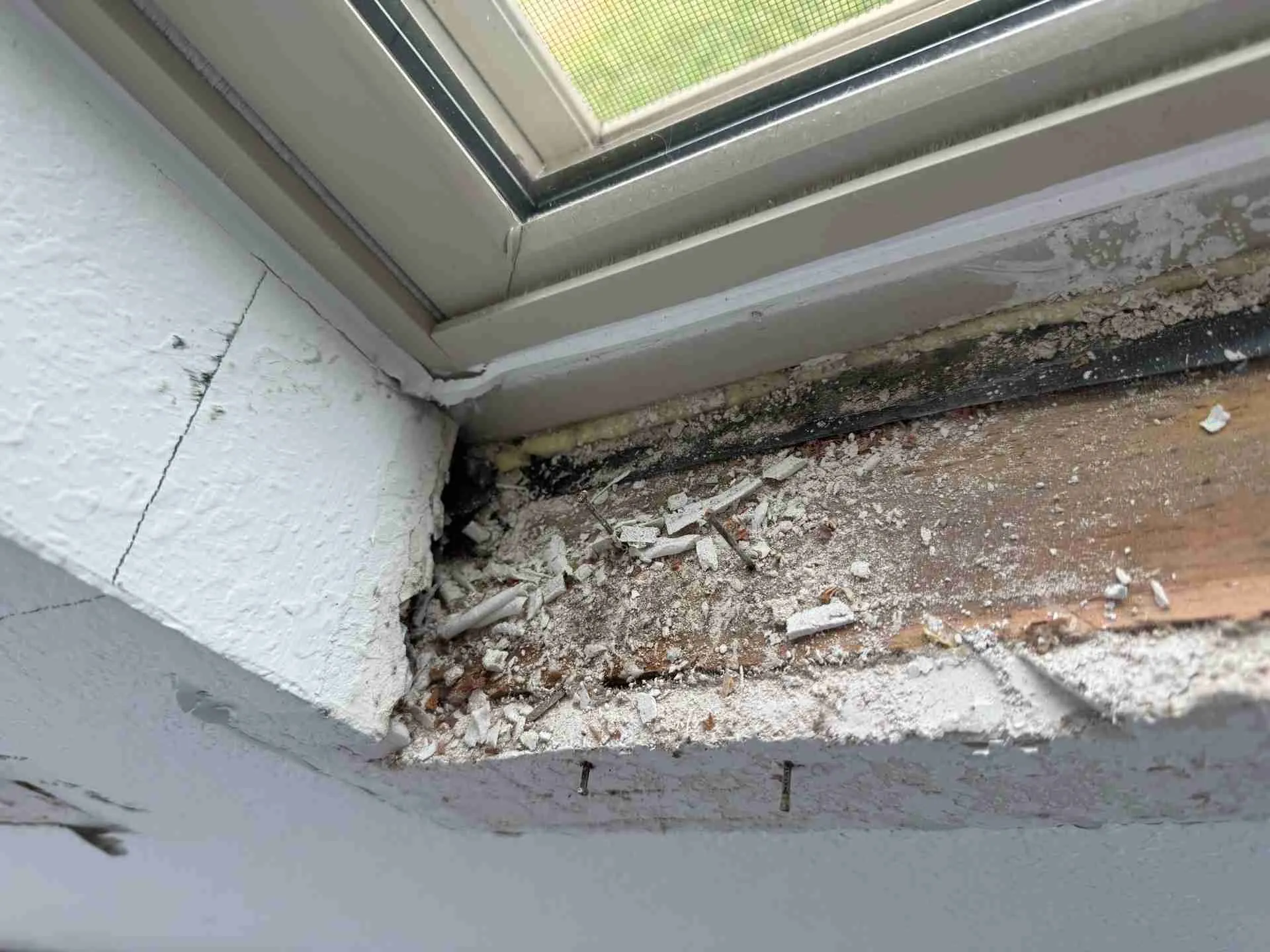 Mold damage at the corner of a residential window sill prior to professional remediation