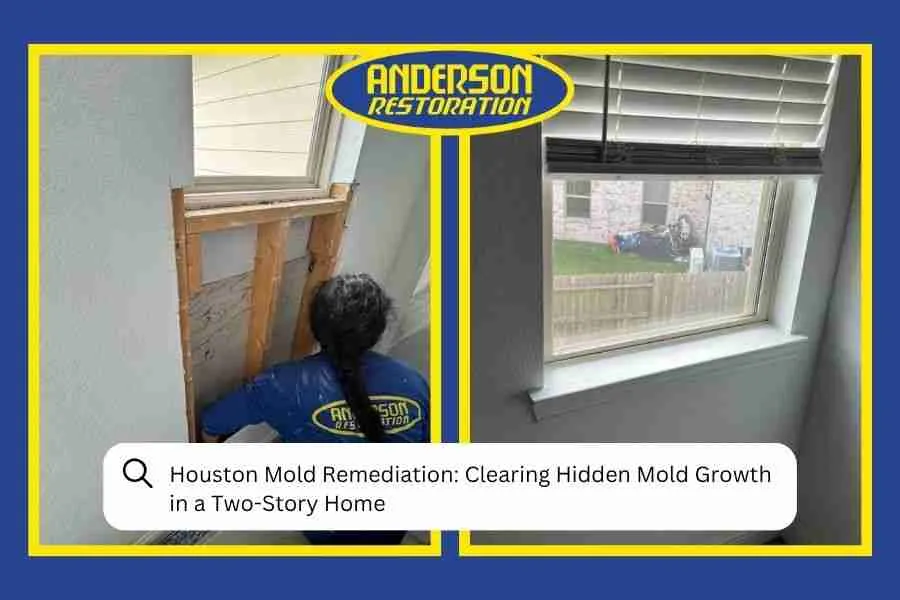 Houston Mold Remediation Clearing Hidden Mold Growth in a Two-Story Home