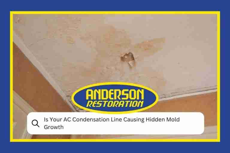 Is Your AC Condensation Line Causing Hidden Mold Growth