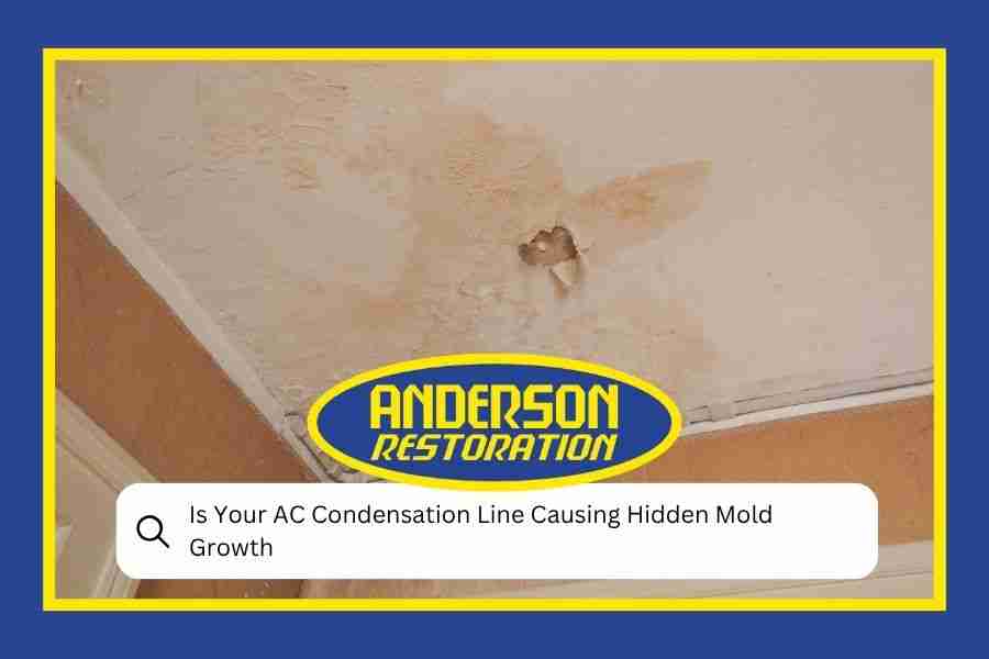 Is Your AC Condensation Line Causing Hidden Mold Growth