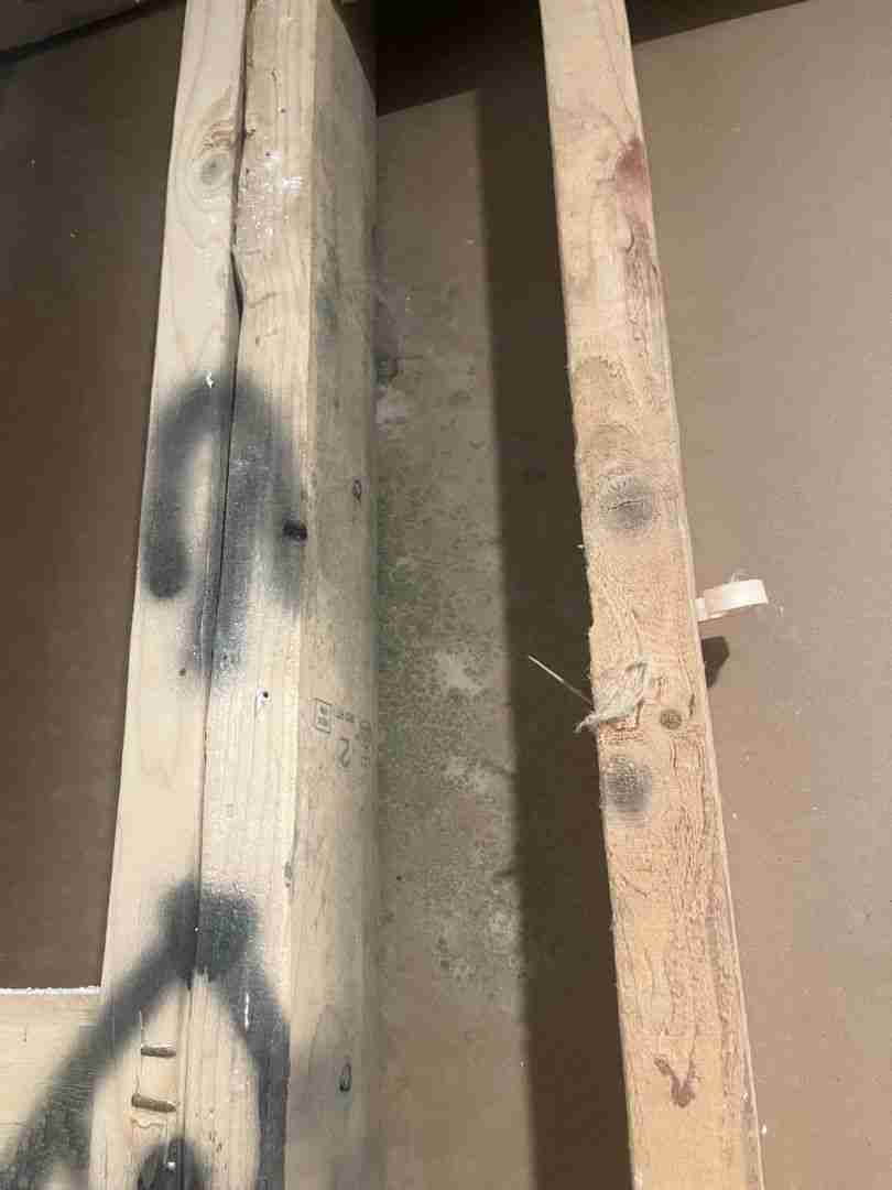 Dark mold growth spread across wall framing studs behind finished drywall