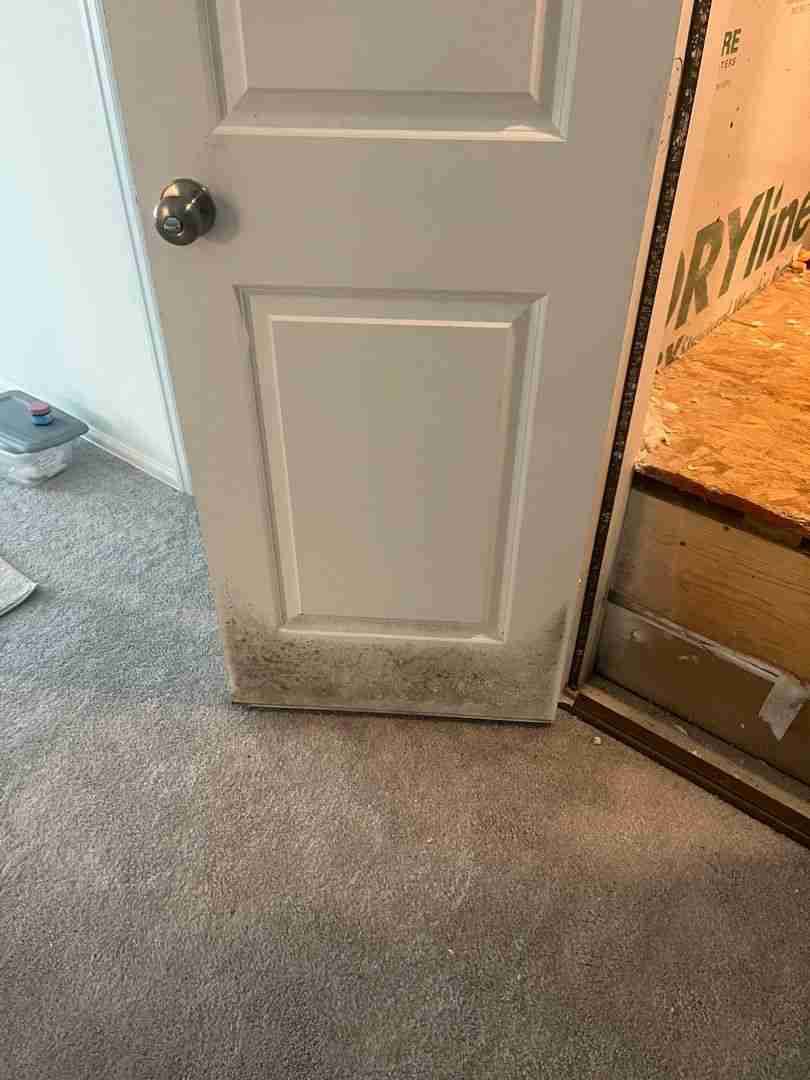 Mold staining at an interior door and baseboard trim caused by prolonged hidden moisture