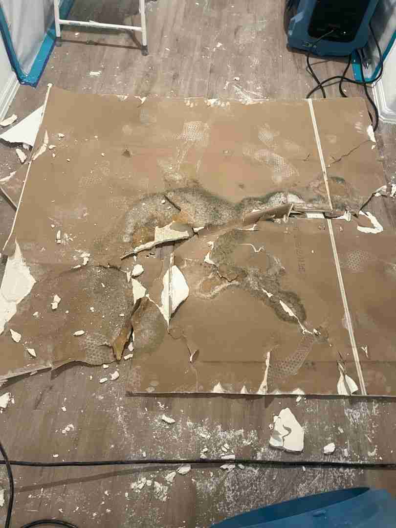 Controlled drywall tear-out with mold-damaged debris removed during remediation in Spring TX