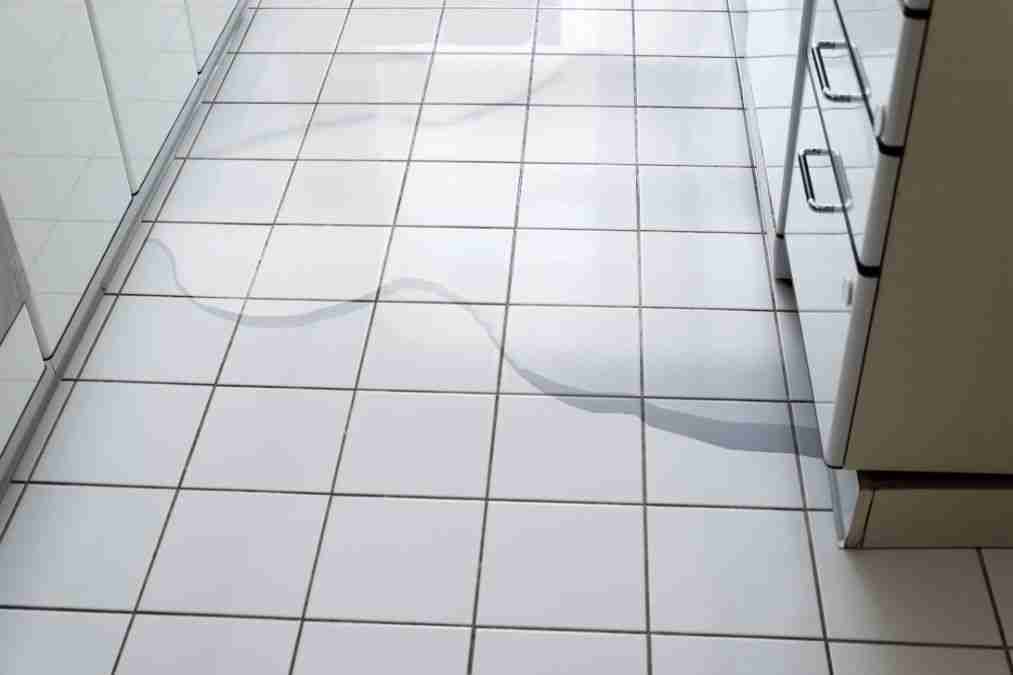 Water damage under a kitchen cabinet caused by a leaking dishwasher