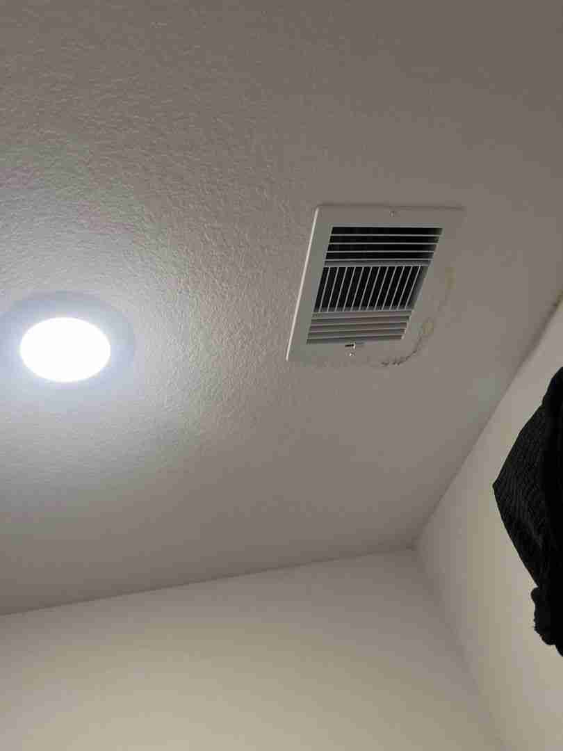 Restored, mold-free ceiling after professional remediation and drying