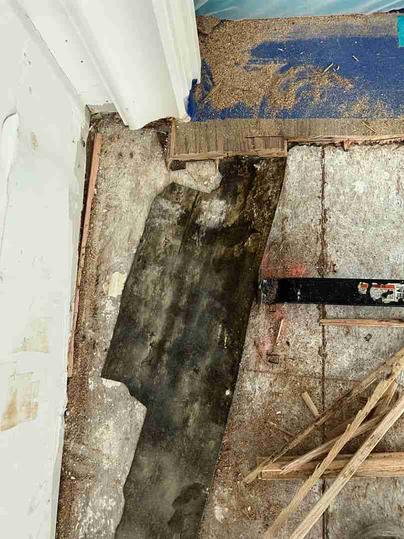 Dark water staining on the subfloor revealed after removing flooring in a Bellaire TX home