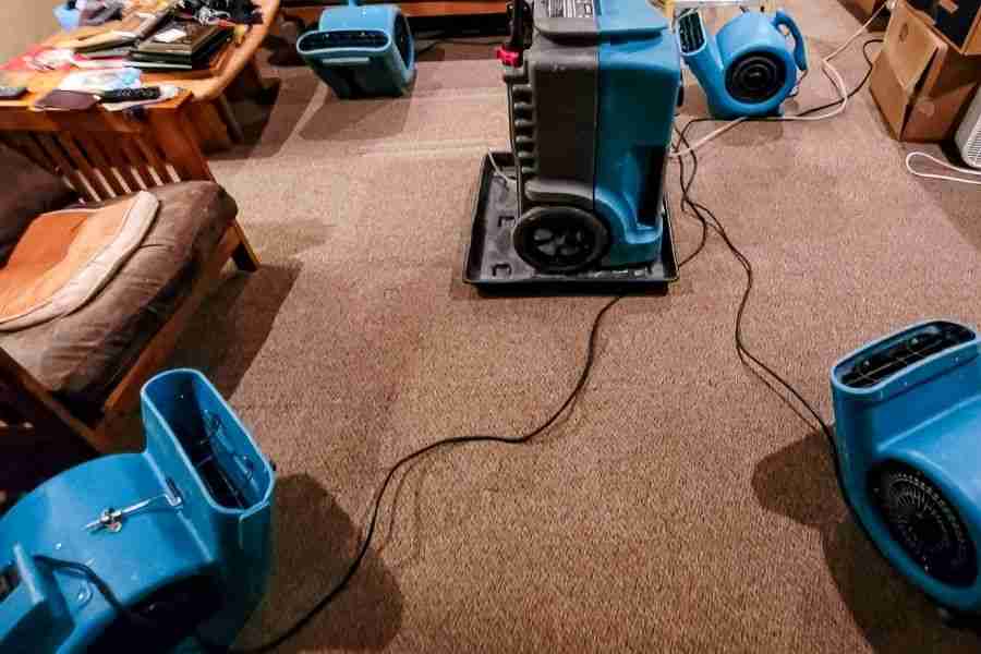 Extracting standing water from soaked carpet in a Cypress, TX living room